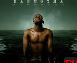Bab'Motha - Album by Kabza De Small - Apple Music