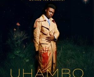 Uhambo, The Journey - Album by Mlindo The Vocalist - Apple Music