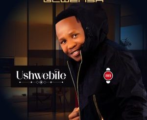 Ushwebile - Album by Navigator Gcwensa - Apple Music