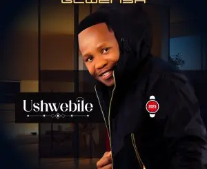 Ushwebile - Album by Navigator Gcwensa - Apple Music
